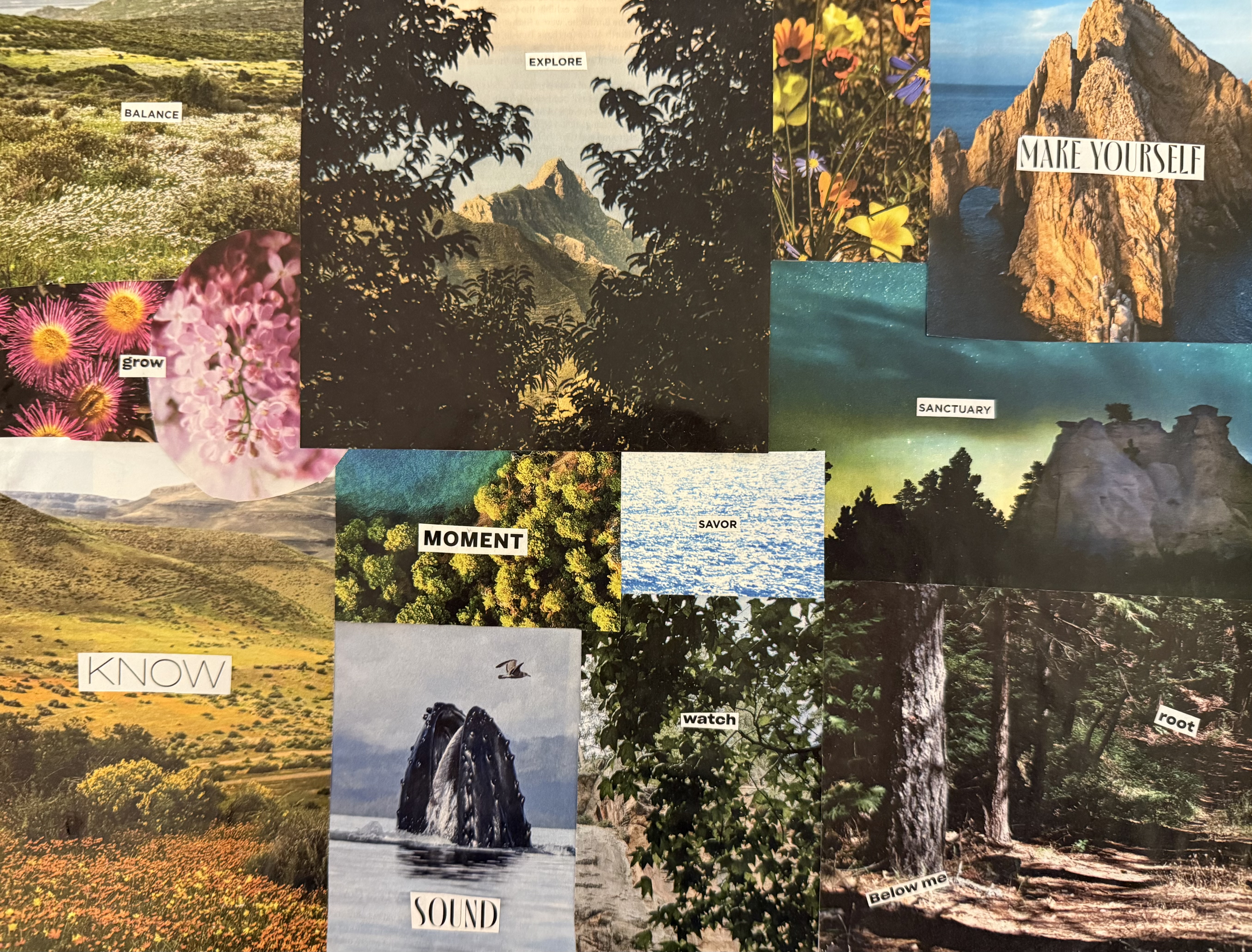 Untitled — Collage